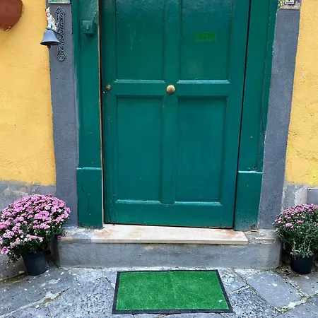 La limonaia di Chiaia-2